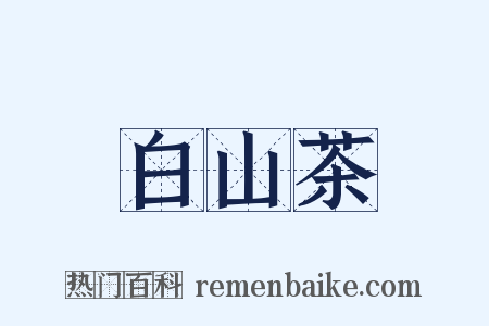 白山茶是什么意思的图片